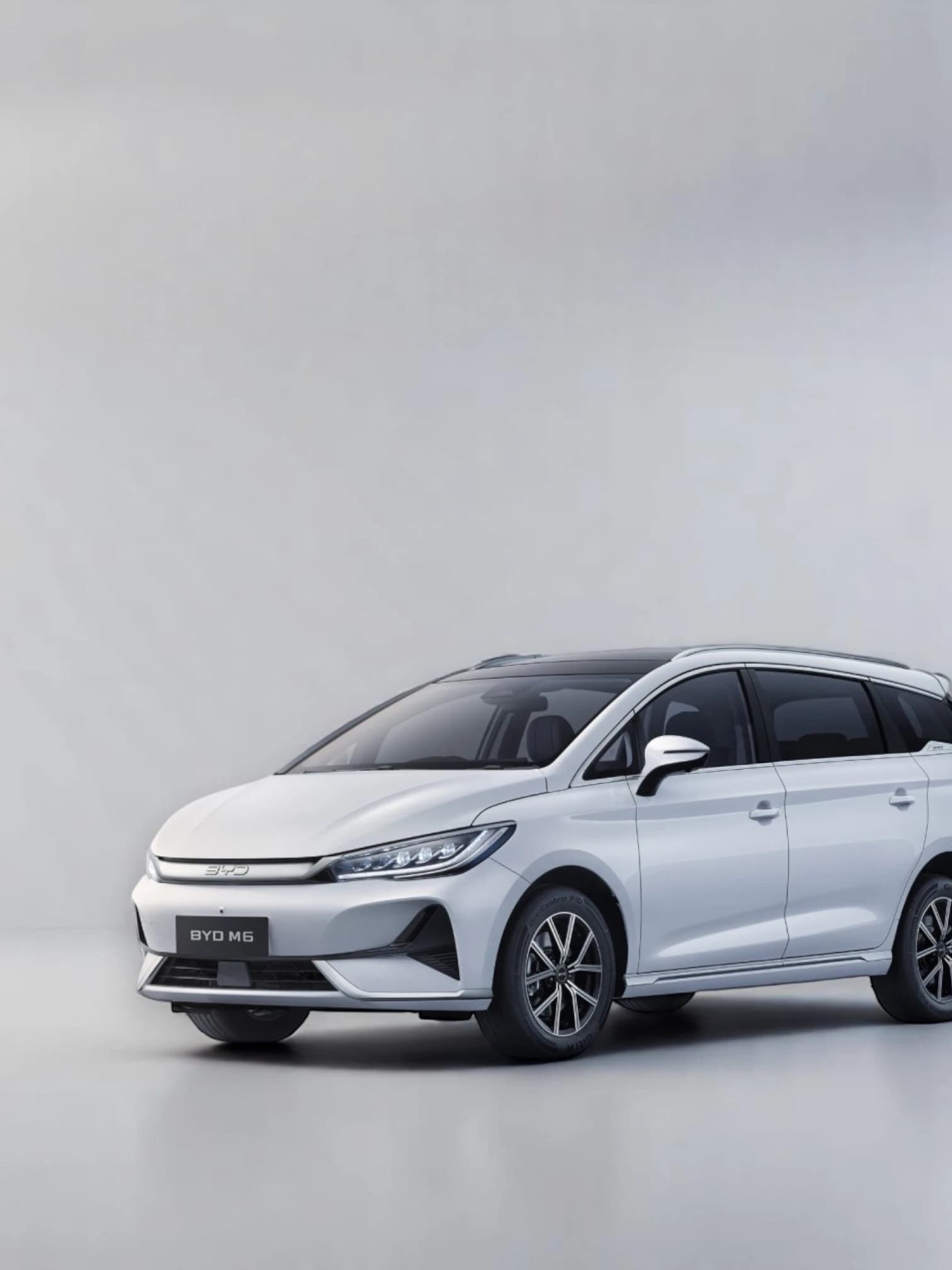 BYD M6